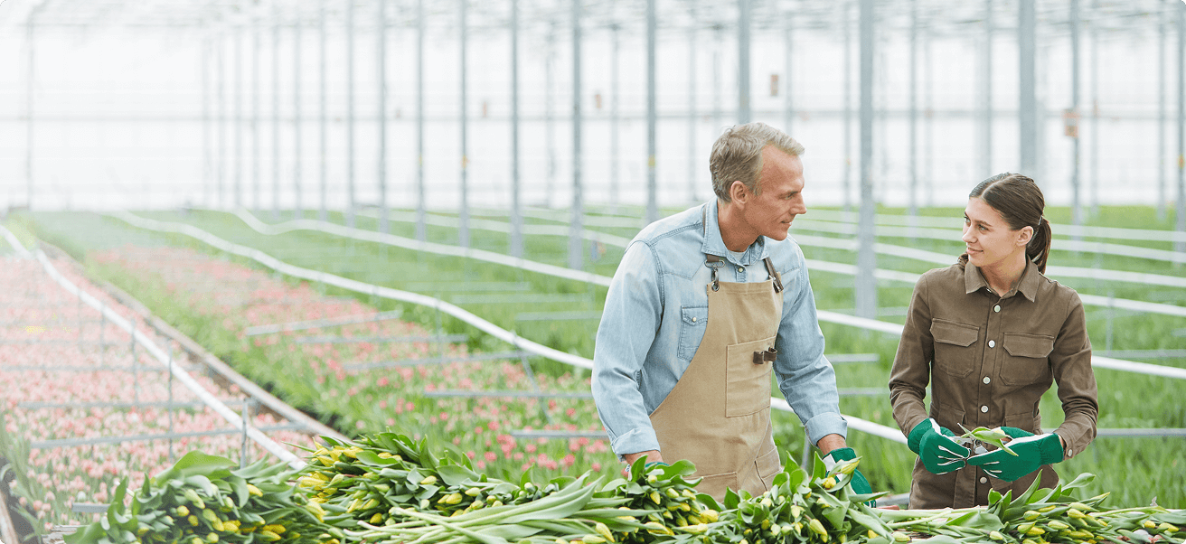 Agregator FMCG Industrija