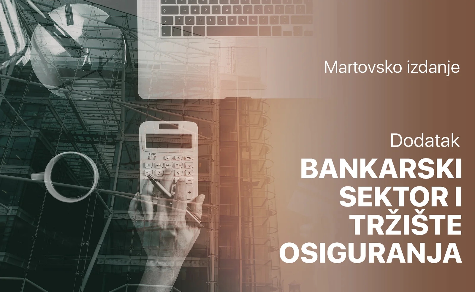Specijalni dodatak mart 2025: Bankarski sektor i tržište osiguranja