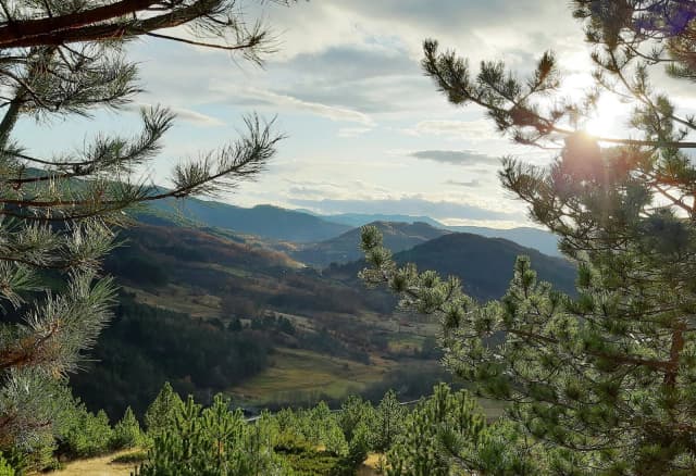 Savršena destinacija za team building - Mokra Gora
